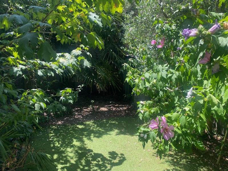 Vente Maison LE BOUSCAT - 6 pièces -124 m² - (33110)