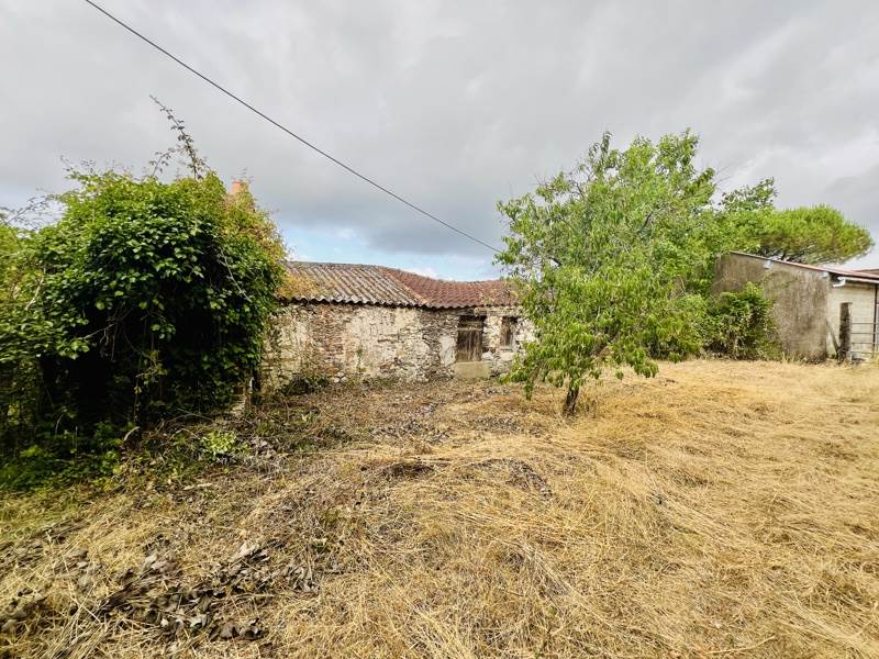 Vente Maison LA MARNE - 2 pièces -40 m² - (44270)