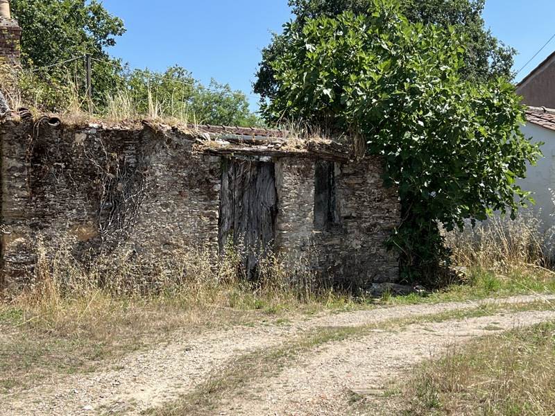 Vente Maison LA MARNE - 1 pièce -50 m² - (44270)