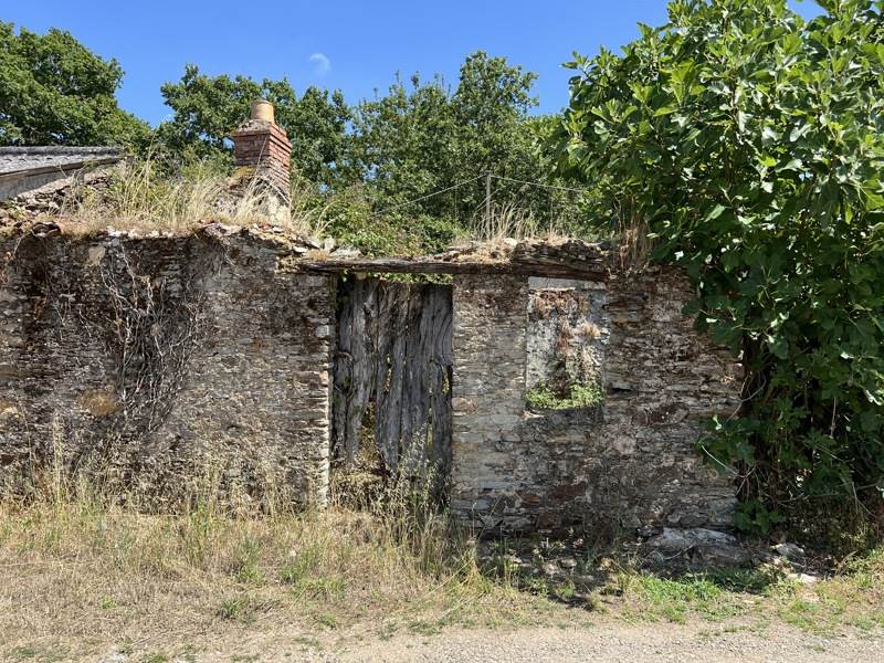 Vente Maison LA MARNE 44270 1 pièce - 50 m²