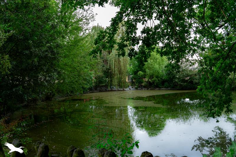 Vente Maison ST PHILBERT DE GRAND LIEU - 5 pièces -213,8 m² - (44310)