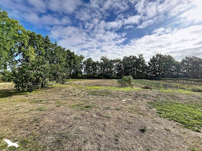 Vente Maison BELLEVIGNY - 4 pièces -103 m² - (85170)