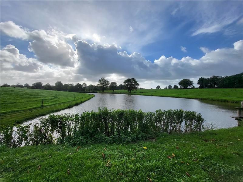 Vente Terrain LA FERRIERE - -8400 m² - (85280)