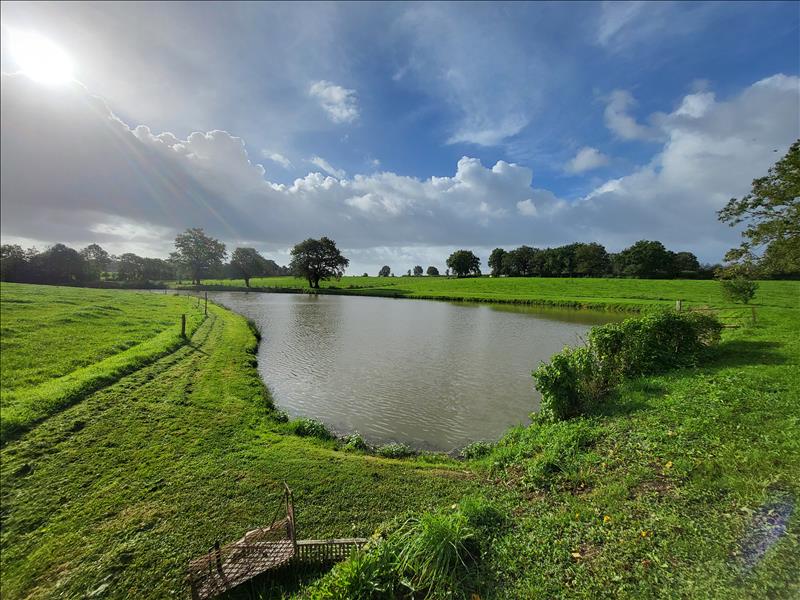 Vente Terrain LA FERRIERE - -8400 m² - (85280)