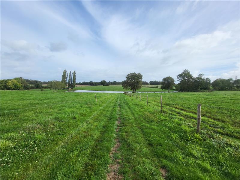 Vente Terrain LA FERRIERE - -8400 m² - (85280)