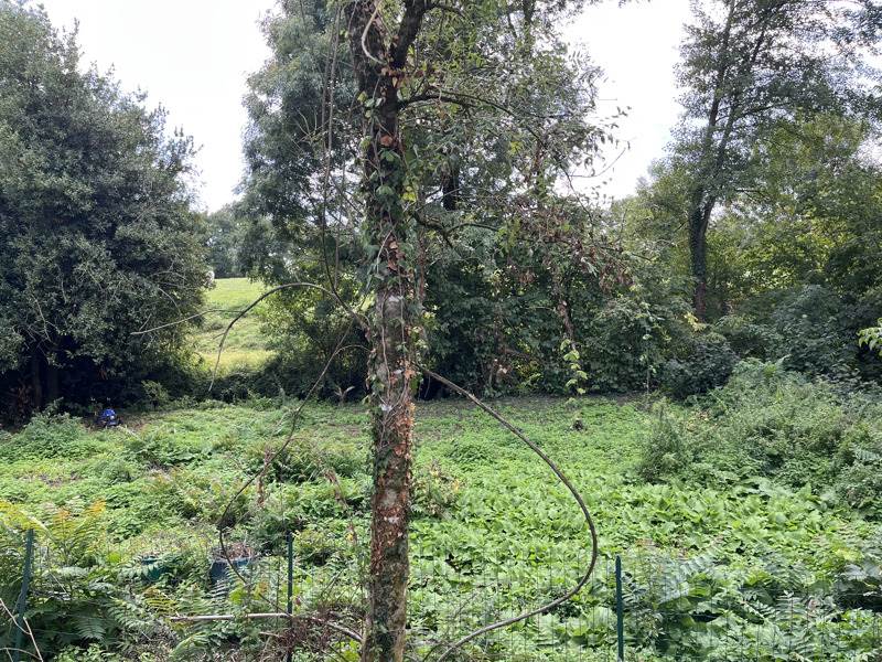 Vente Maison LES LUCS SUR BOULOGNE - 4 pièces -200 m² - (85170)