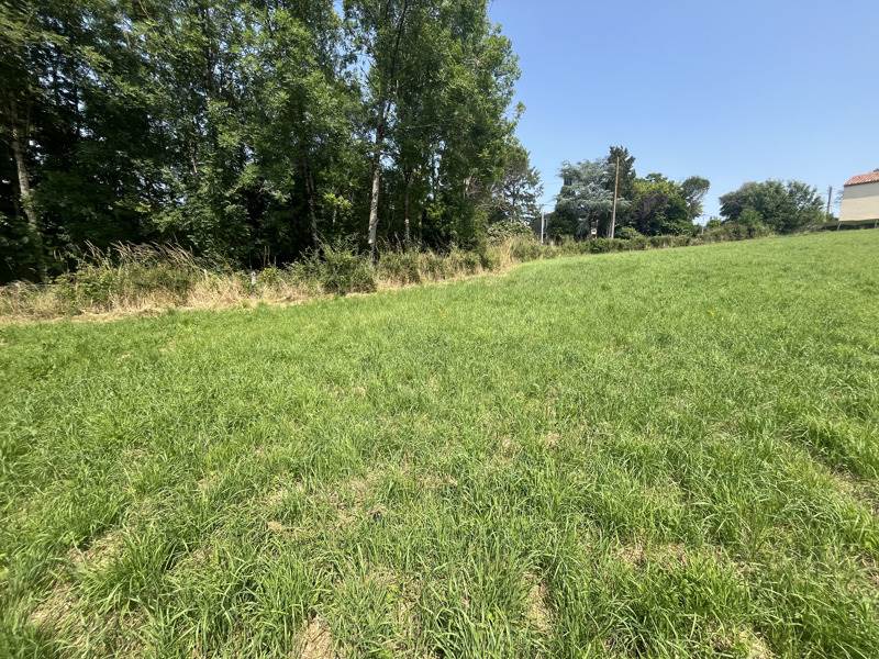 Vente Terrain L HERMENAULT - -1809 m² - (85570)