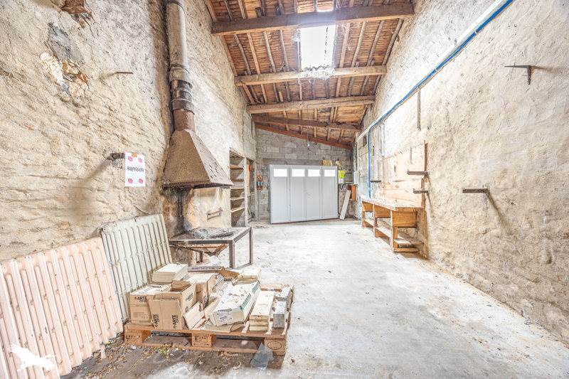Vente Immeuble ST PIERRE LE VIEUX - -  250 m² - (85420)