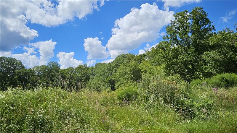 Vente Terrain ORCAY - -15293 m² - (41300)