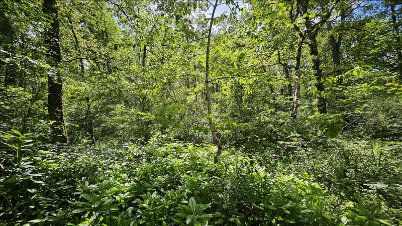 Vente Terrain ORCAY - -15293 m² - (41300)