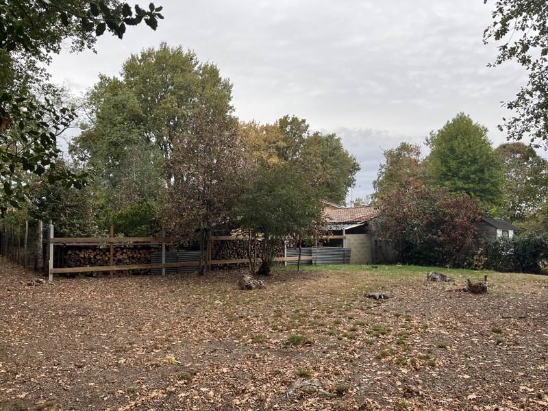 Vente Terrain Canéjan - -668 m² - (33610)