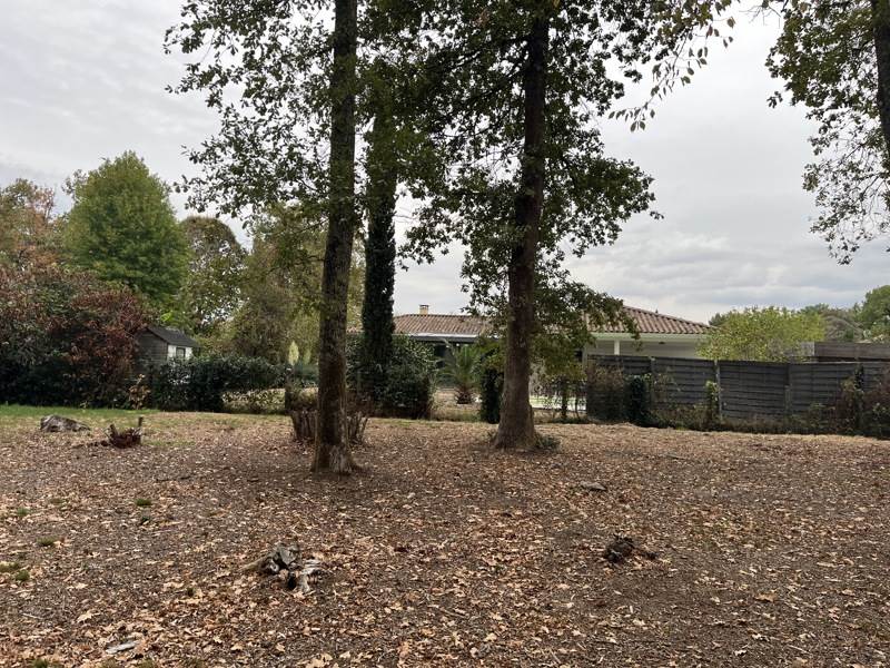 Vente Terrain Canéjan - -668 m² - (33610)