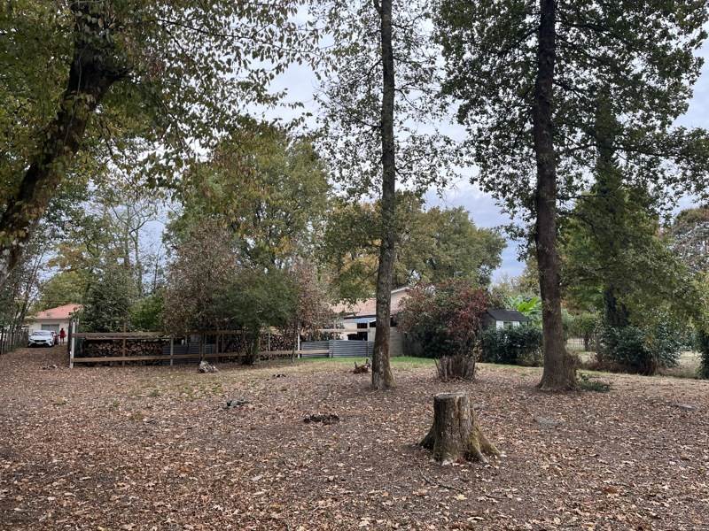 Vente Terrain Canéjan - -668 m² - (33610)