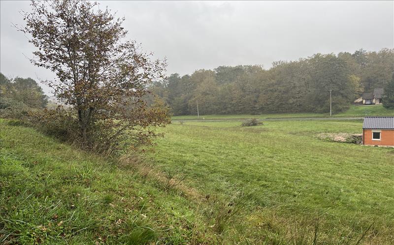Vente Terrain ST PIERRE DE CHIGNAC - -1576 m² - (24330)