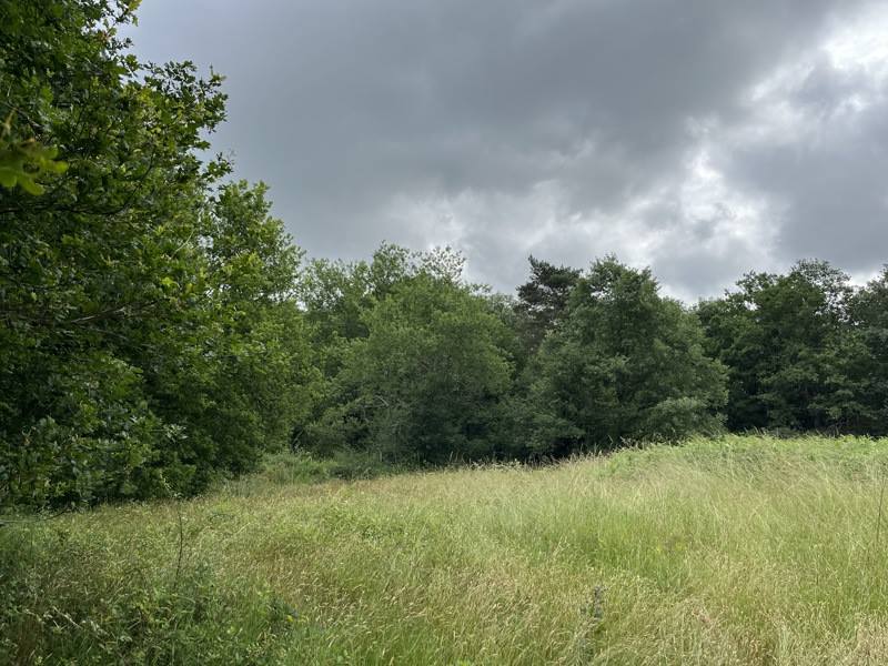 Vente Terrain BASSILLAC - -5159 m² - (24330)