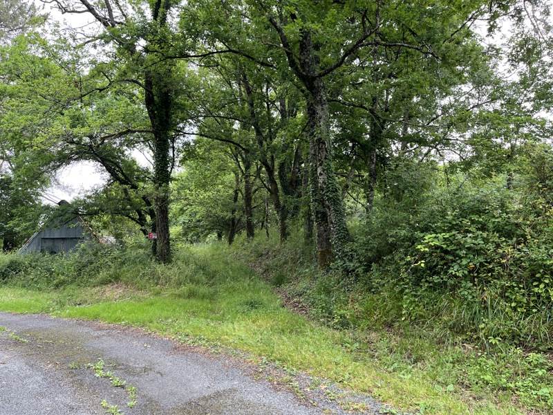 Vente Terrain BASSILLAC - -5159 m² - (24330)