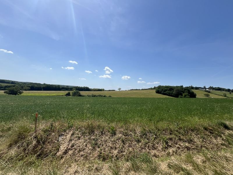 Vente Terrain NOTRE DAME DE SANILHAC - -1342 m² - (24660)