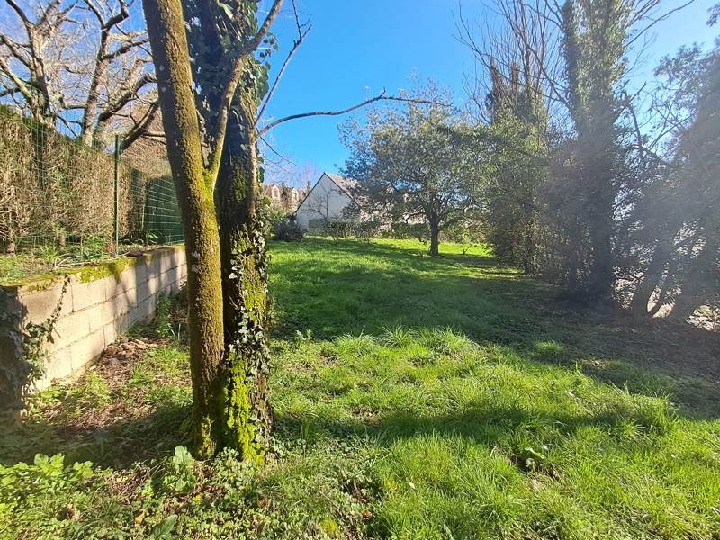 Vente Terrain AURAY - -377 m² - (56400)