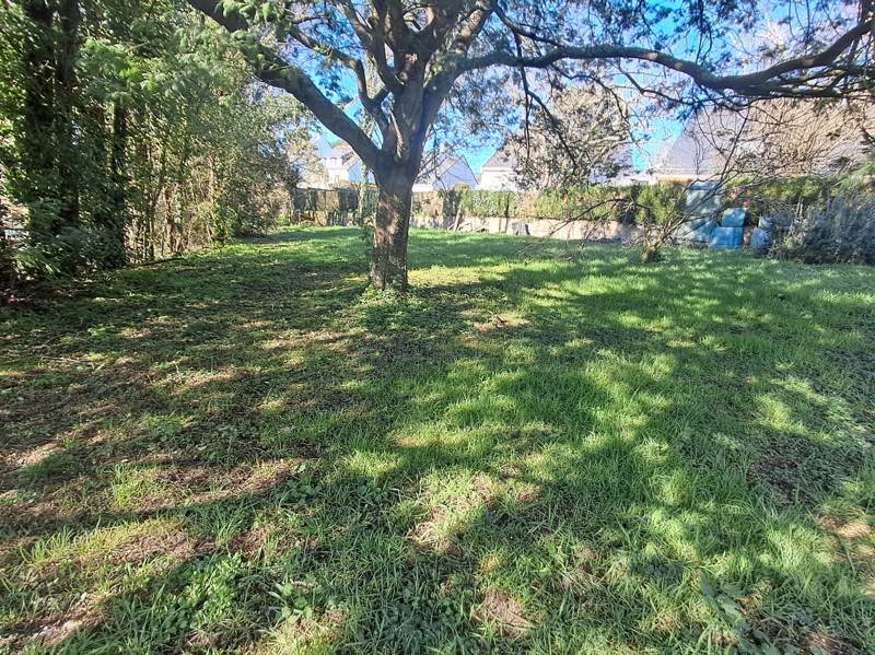 Vente Terrain AURAY - -377 m² - (56400)