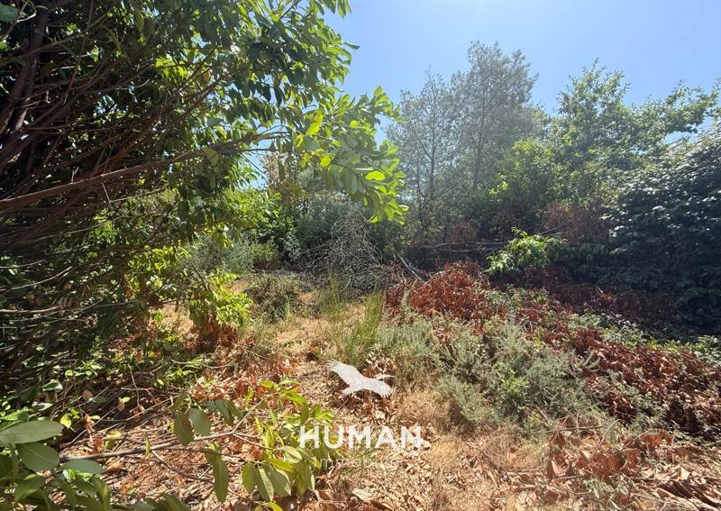 Vente Terrain CRACH - -400 m² - (56950)
