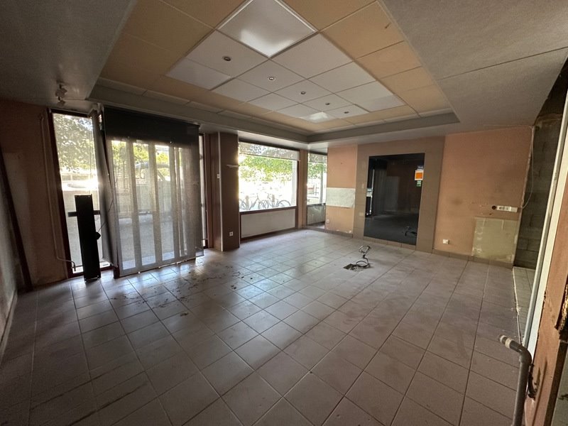 Vente Local commercial ST JEAN LE BLANC - -  104 m² - (45650)