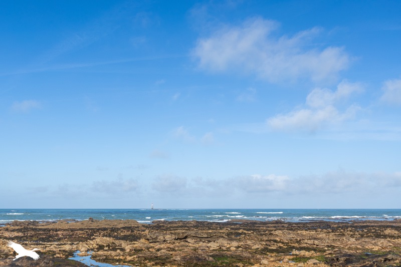 Vente Maison LES SABLES D OLONNE - 4 pièces -96 m² - (85100)