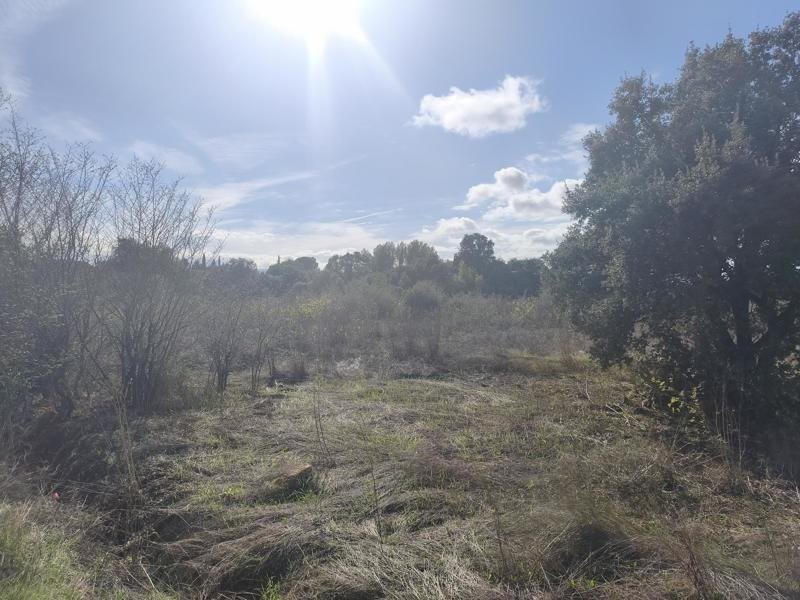 Vente Terrain Baillargues - -5184 m² - (34670)