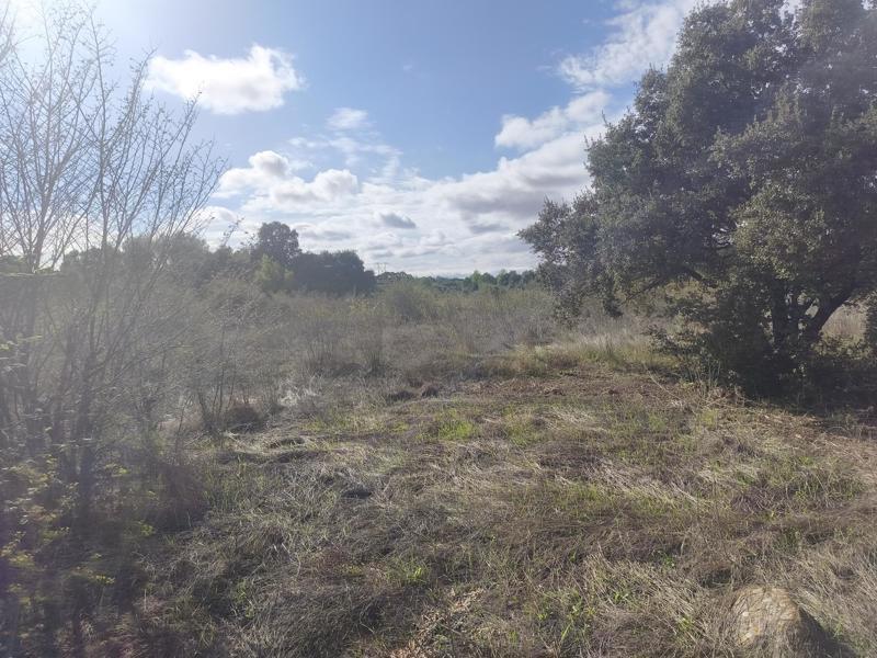 Vente Terrain Baillargues - -5184 m² - (34670)