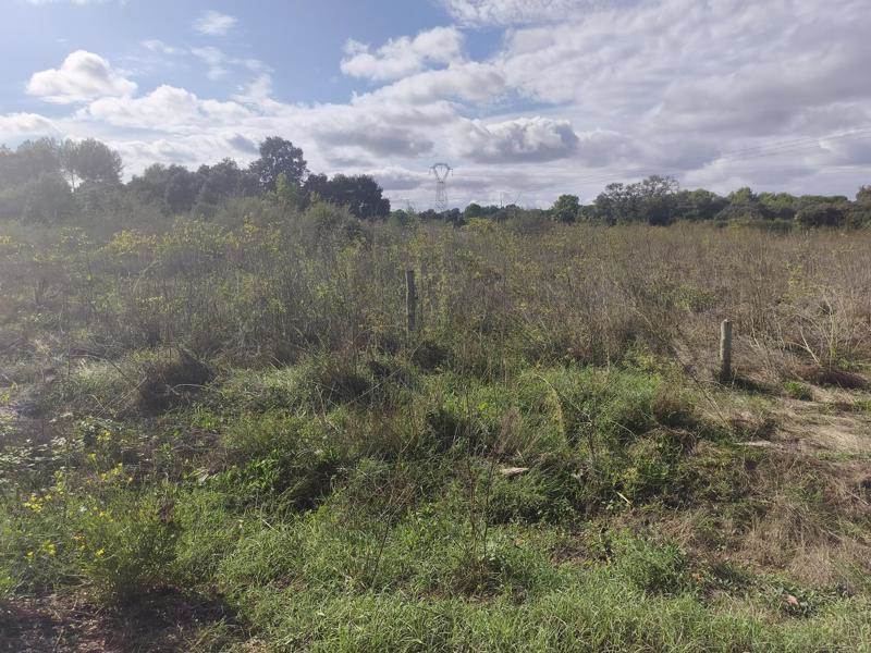 Vente Terrain Baillargues - -5184 m² - (34670)