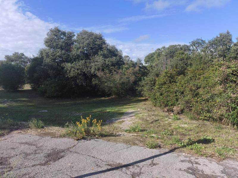 Vente Terrain Baillargues - -5184 m² - (34670)