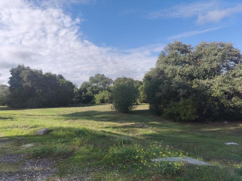 Vente Terrain Baillargues - -5184 m² - (34670)