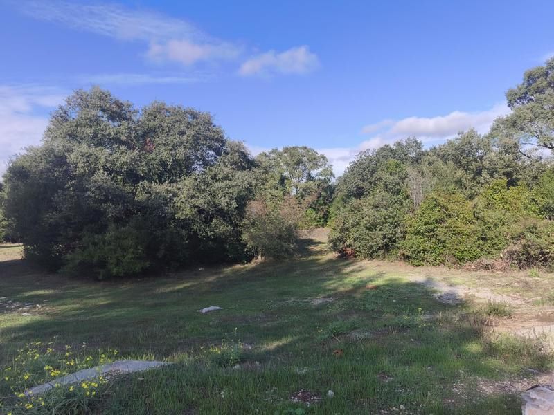 Vente Terrain Baillargues - -5184 m² - (34670)