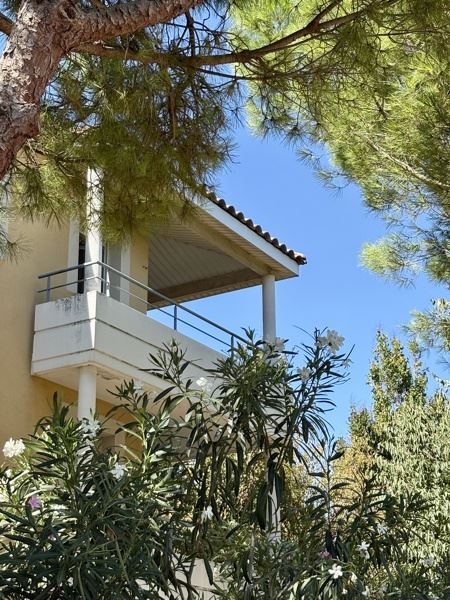 Vente Appartement Carcassonne - 3 pièces -64 m² - (11000)