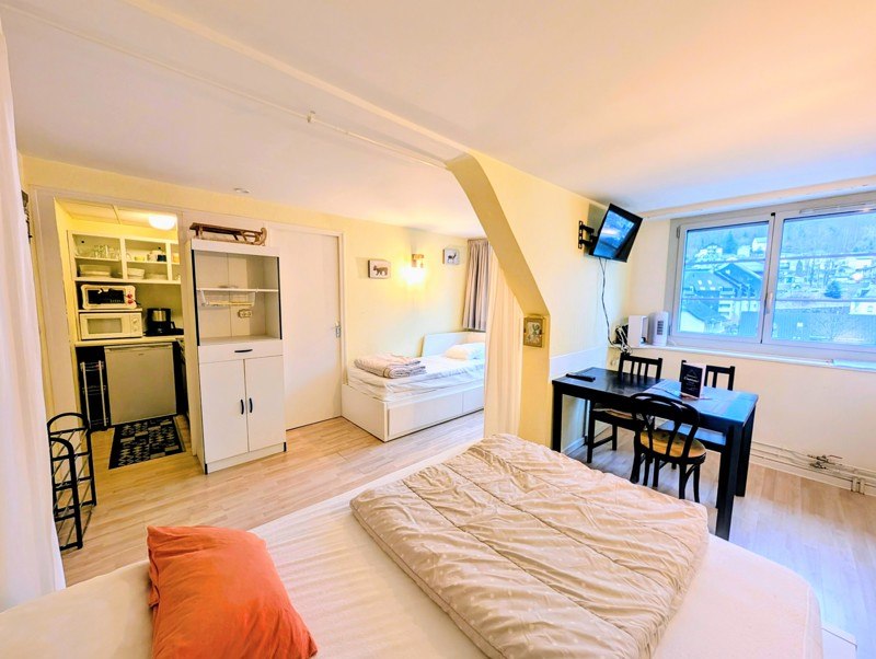 Vente Appartement CAUTERETS - 1 pièce -24 m² - (65110)