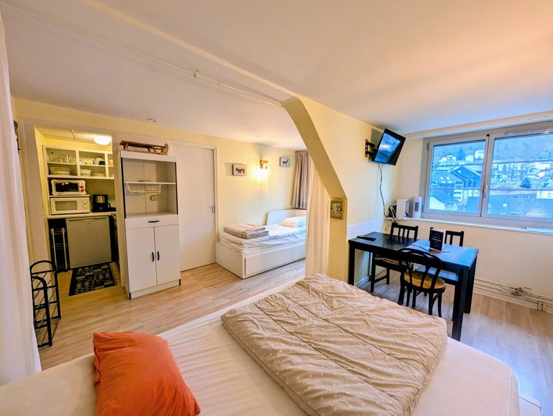 Vente Appartement CAUTERETS - 1 pièce -24 m² - (65110)
