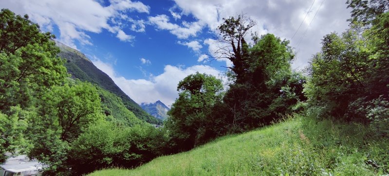 Vente Terrain SALIGOS - -2238 m² - (65120)
