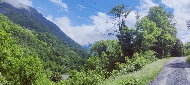 Vente Terrain SALIGOS - -2238 m² - (65120)