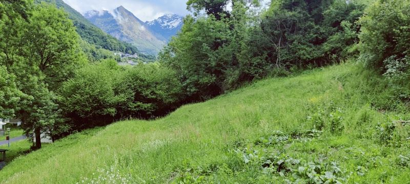 Vente Terrain SALIGOS - -2238 m² - (65120)