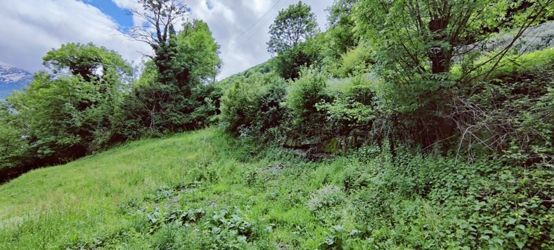 Vente Terrain SALIGOS - -2238 m² - (65120)