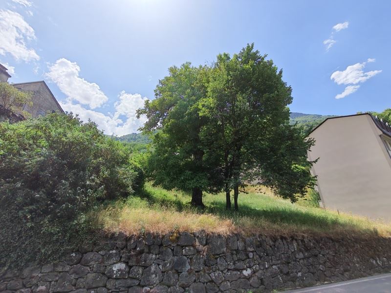 Vente Terrain LUZ ST SAUVEUR - -598 m² - (65120)