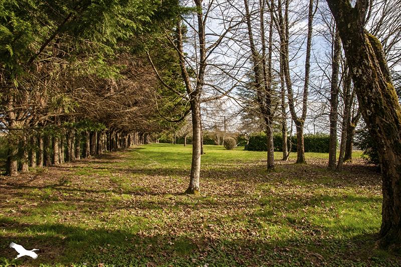 Vente Maison BRANTOME EN PERIGORD - 4 pièces -153 m² - (24310)