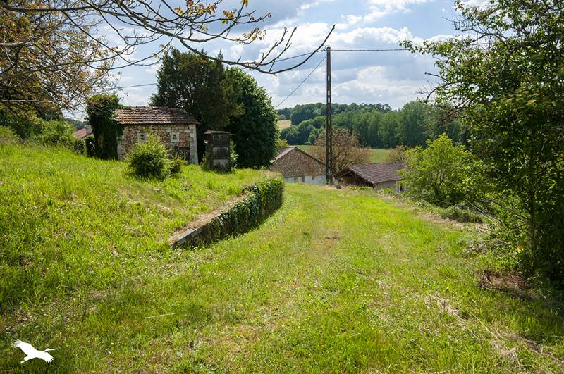 Vente Maison QUINSAC - 10 pièces -257 m² - (24530)