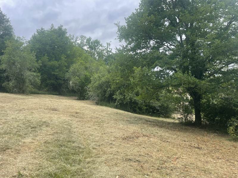 Vente Grange ST PIERRE DE COLE - 7 pièces -174 m² - (24800)