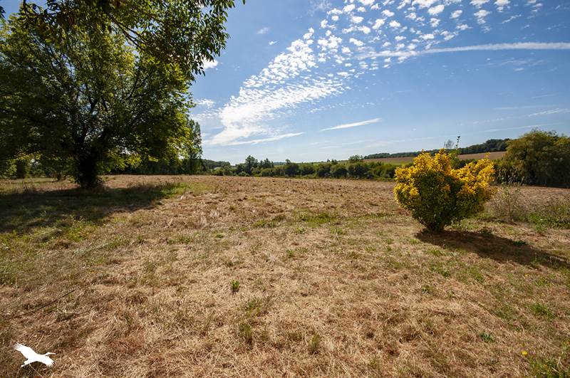 Vente Maison STE CROIX DE MAREUIL - 6 pièces -144 m² - (24340)