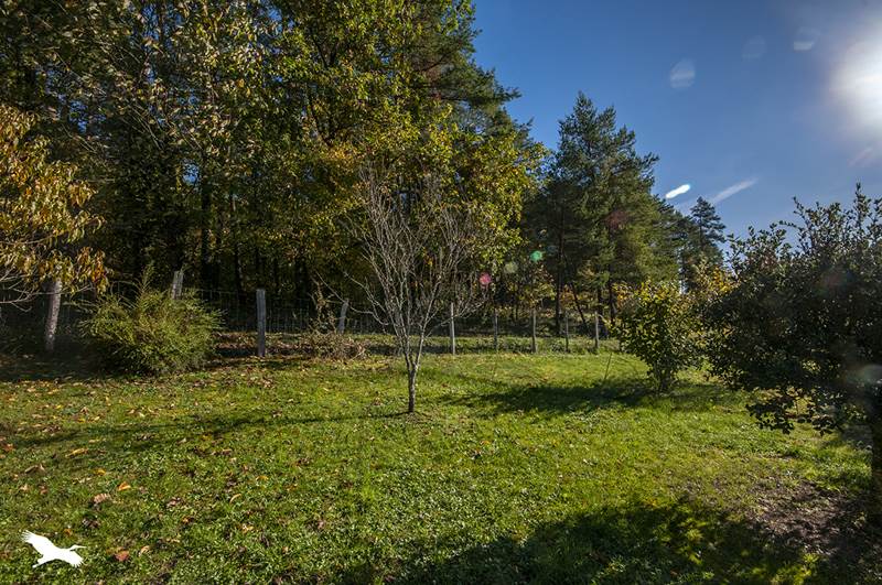 Vente Maison CHATEAU L EVEQUE - 5 pièces -140 m² - (24460)