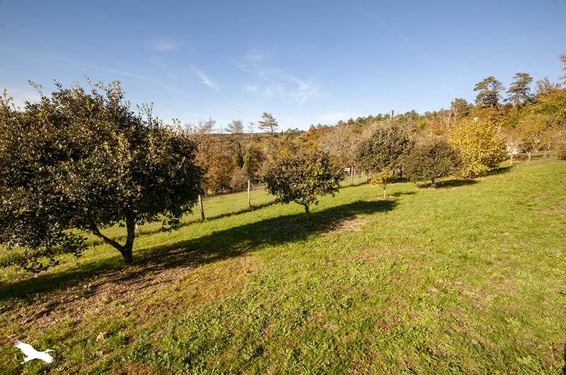 Vente Maison CHATEAU L EVEQUE - 5 pièces -140 m² - (24460)