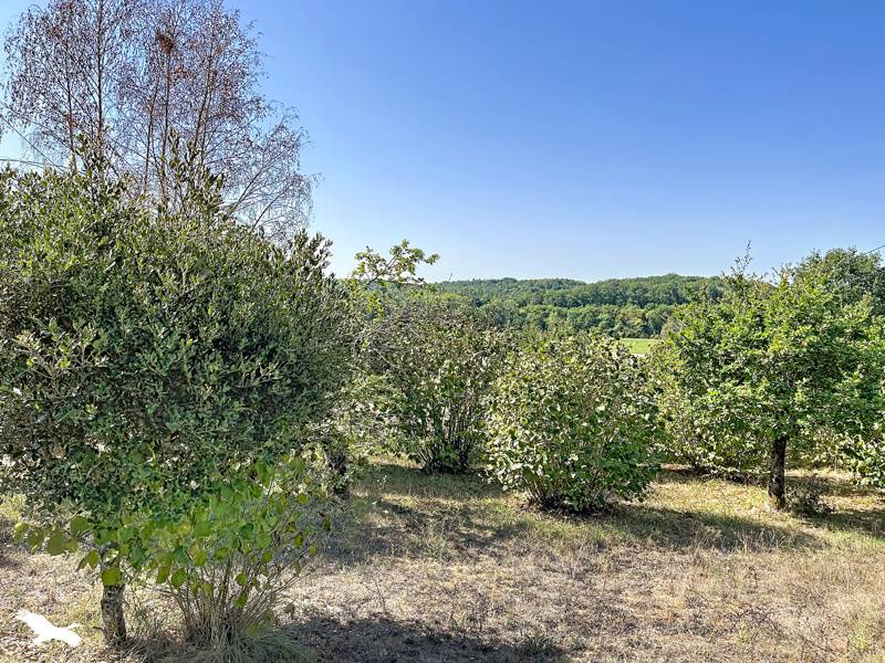Vente Maison LA CHAPELLE FAUCHER - 5 pièces -111 m² - (24530)