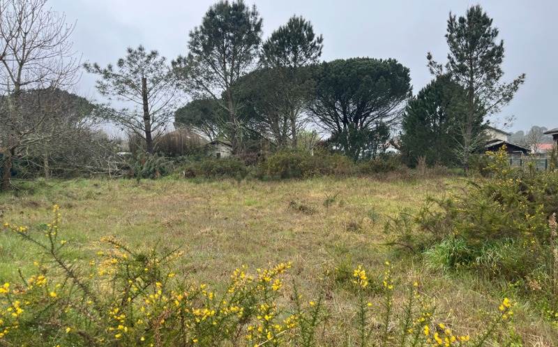 Vente Terrain SAUGNACQ ET MURET - -1531 m² - (40410)