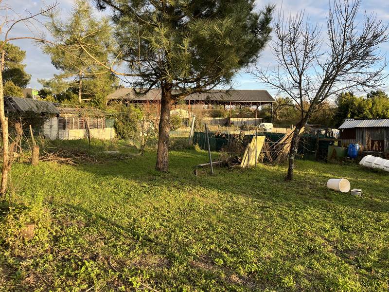 Vente Maison MONTENDRE - 4 pièces -272 m² - (17130)