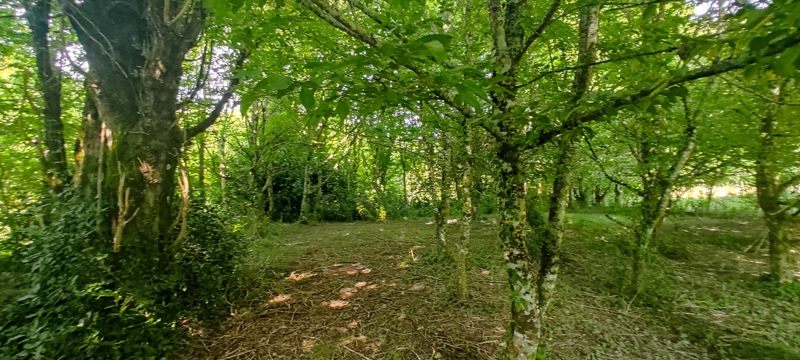 Vente Maison POLIGNAC - 3 pièces -113 m² - (17210)
